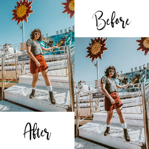 Barberry Desktop Lightroom Preset